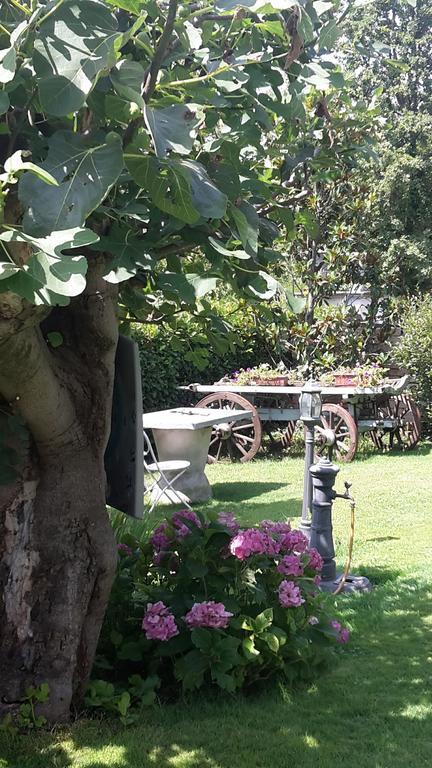 Villagaia Country House Montafia Exterior photo